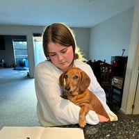 Michelle McConaghty's profile image