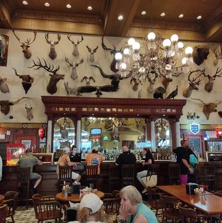 Raul's profile image