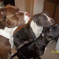 Michelle Thompson's profile image