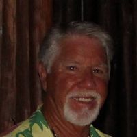 Terry Knox's profile image