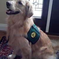 Ruth Fenton's profile image