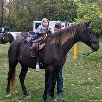 Travis Shoemaker's profile image