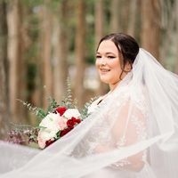 Monica Marana's profile image