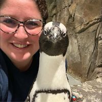Kayla Jarnagin's profile image