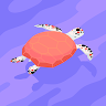 Rocha's profile image