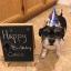 Maria121275's profile image