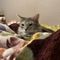Janie T.'s profile image