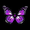 Kennedy's profile image