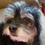 Monique Navarrete's profile image