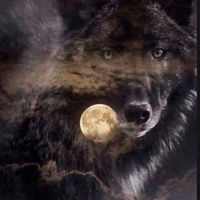 Jeff Dan Bullion's profile image