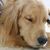 Jackie Rouse Thorpe's profile image