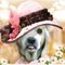 Joey A.'s profile image
