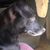 Terrie Holmes's profile image