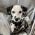 Stephanie Dannemiller Bishop's profile image