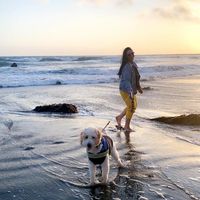 Tiffany Rodriguez's profile image