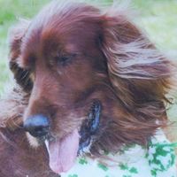 Kathy Thompson's profile image