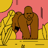Salazar's profile image