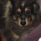 Dorothy P.'s profile image