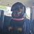 Scotty Linke's profile image