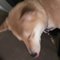 Claire J.'s profile image