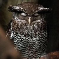 LeeAnn Tapscott's profile image