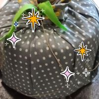 Tonia Mohon's profile image
