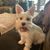 Bea Turner's profile image