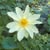 Tricia R.'s profile image