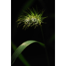 Jay's profile image