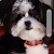 Happy's profile image