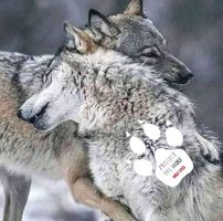 Cathy Lengle's profile image
