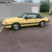 Dave Mazonis's profile image