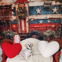 Erin McDermott's profile image