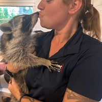 Danielle Jaggars's profile image