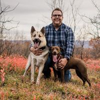 Rob Williams's profile image
