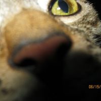 Peg Rassmusson's profile image
