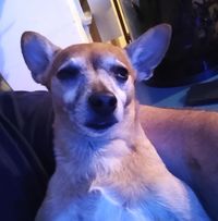 Kirk Tribble's profile image