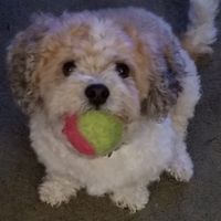 Donna Bullock's profile image