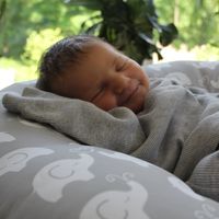 Judy Reed's profile image