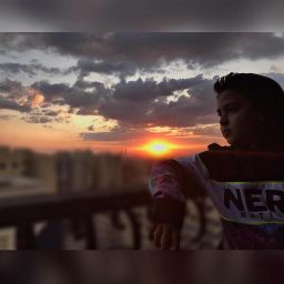 Mohamed Eladl's profile image