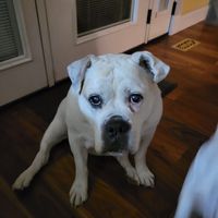 MaryJane Fisch's profile image