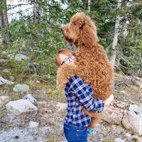 Emily Nicole Despain's profile image