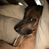 Terry H.'s profile image