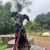 Rosie The Dobie's profile image