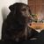 Corinne Fitzgerald's profile image