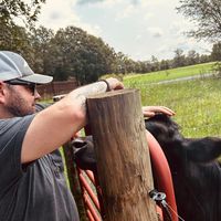 Bryan Evans's profile image