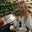 Mandi Vance's profile image