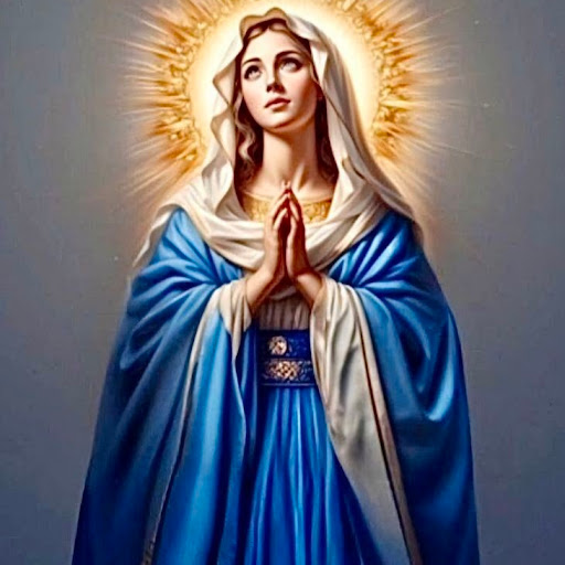 Sam Reich's profile image