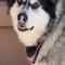 Marcia P.'s profile image