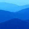 Nevzat's profile image
